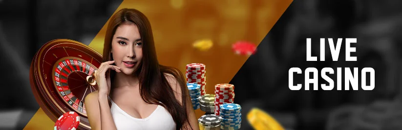 Live Casino Live Casino